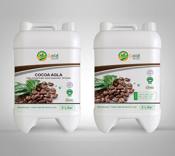 Alga for cocoa